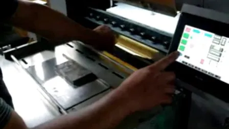 Automatic Bzd-1100 Knife Pleating Machine